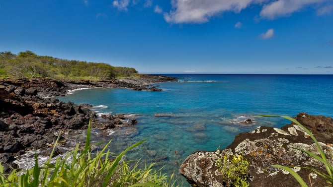 Kohala